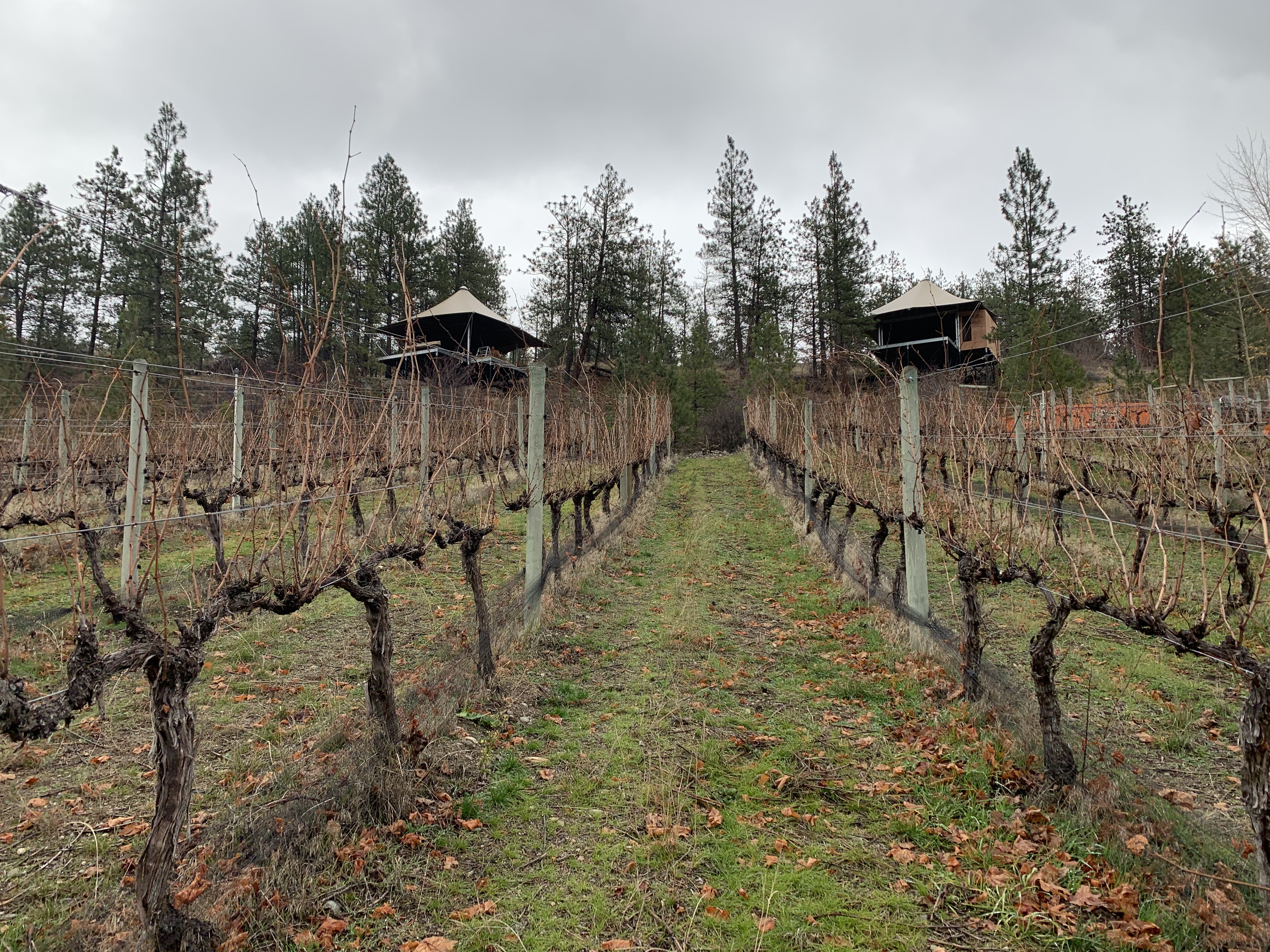 South Okanagan winery launching eco-friendly accommodations | iNwine