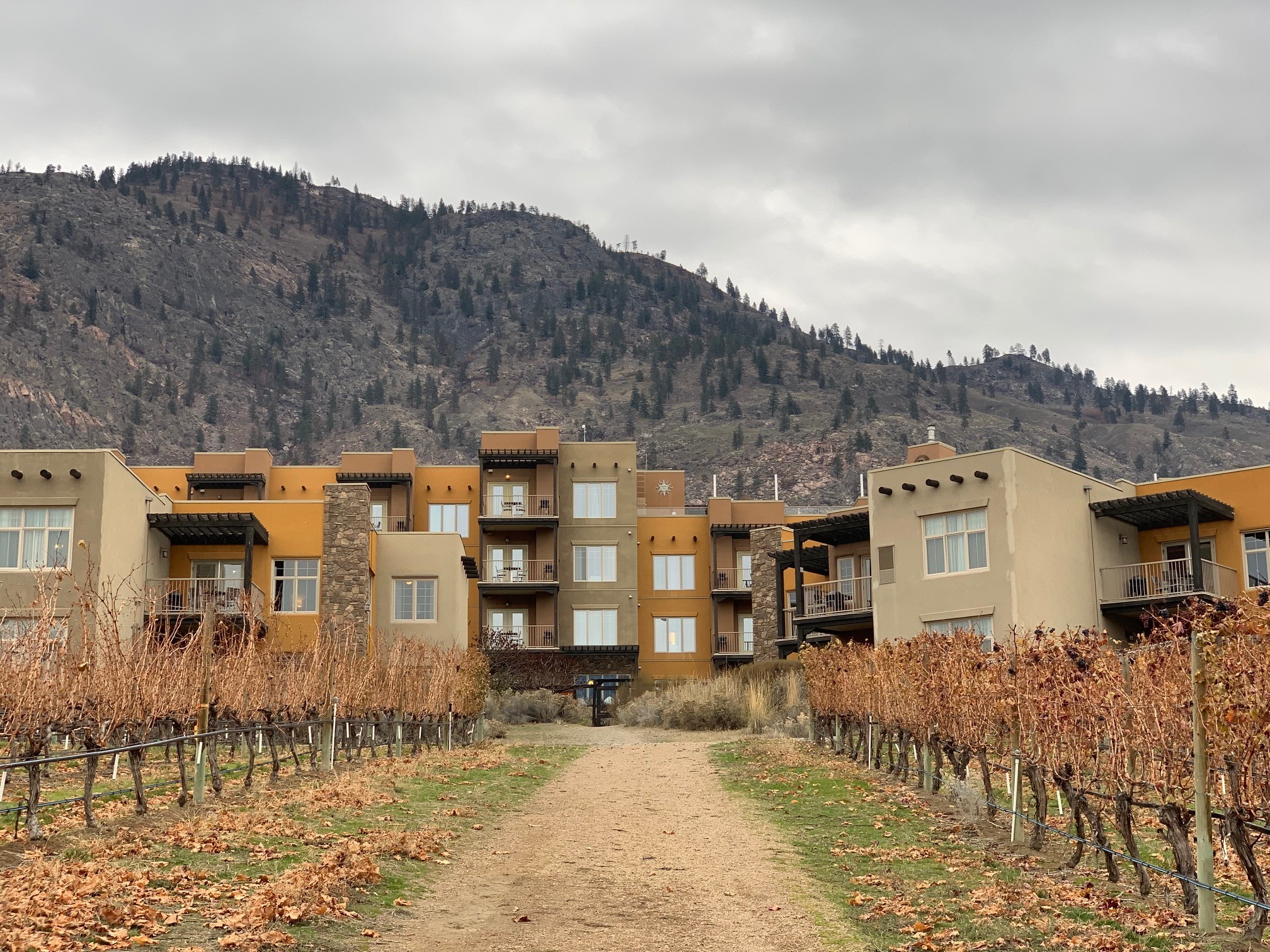 South Okanagan restaurant gets new look tied to Indigenous roots | iNwine