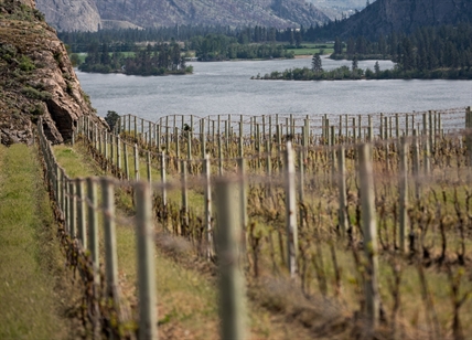 South Okanagan winery not bottling 2021 vintage due to wildfire smoke contamination | iNwine South Okanagan winery not bottling 2021 vintage due to wildfire smoke contamination | iNwine