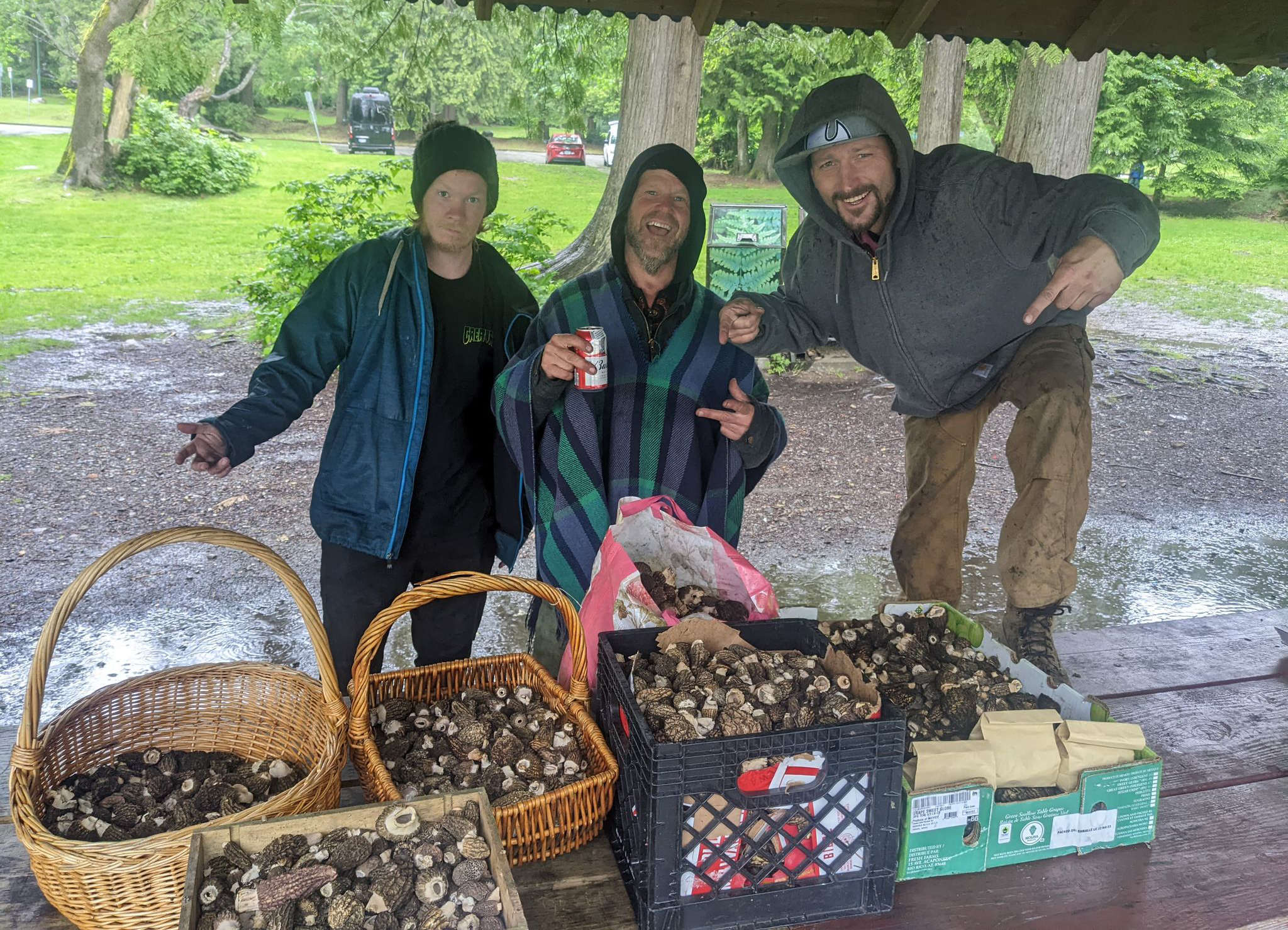 Morel mushroom hunters having a heyday in the Okanagan | iNwine