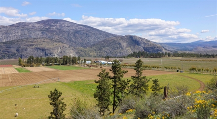 Dreamed of wine making? This Okanagan vineyard could be yours for $24.5 million | iNwine