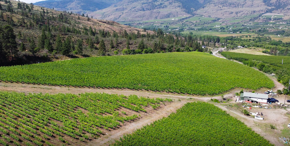Want to buy an Okanagan winery? Better hurry | iNwine