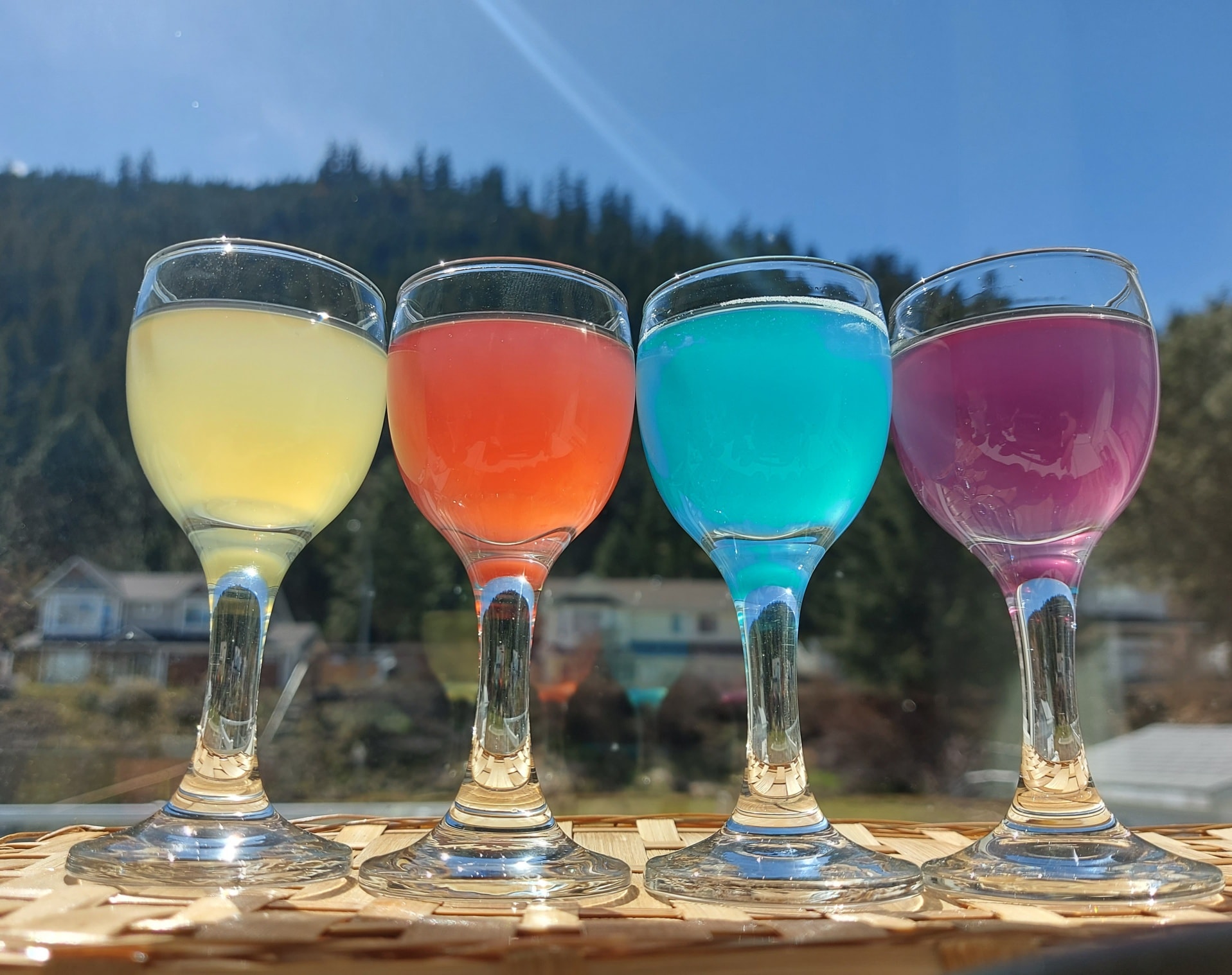 iN VIDEO: Kombucha brewing business bubbling up in Kamloops | iNwine iN VIDEO: Kombucha brewing business bubbling up in Kamloops | iNwine