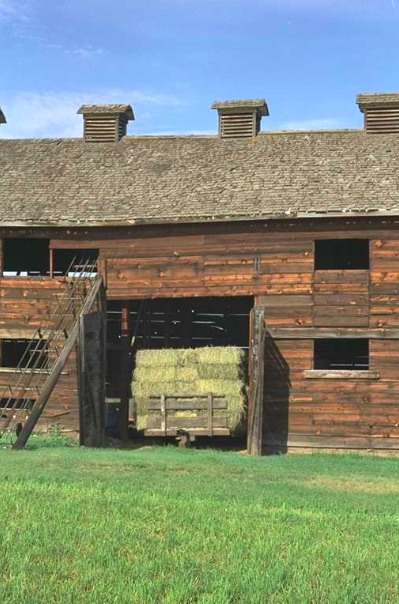 iN PHOTOS: Why tobacco failed to be the Okanagan’s biggest crop | iNwine