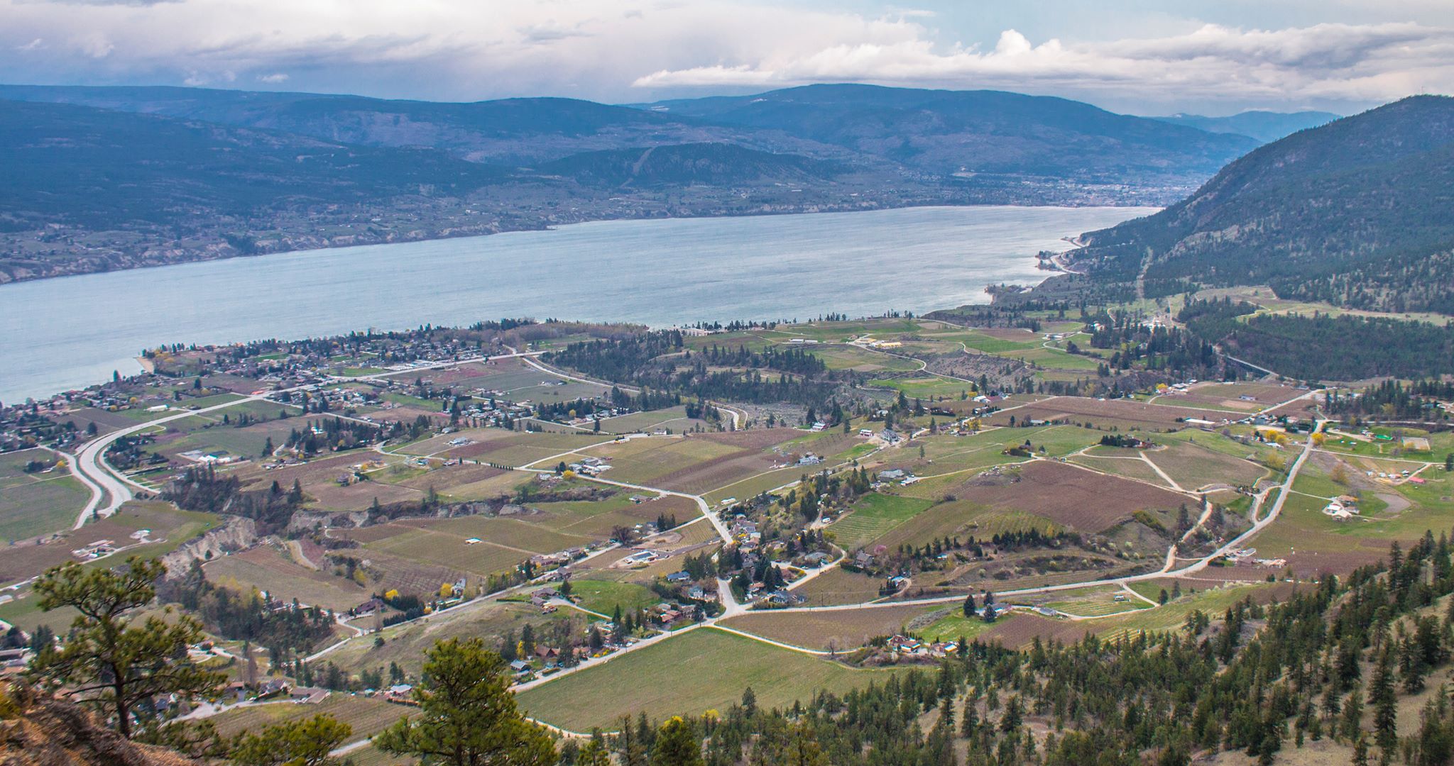 Why the Okanagan Valley has so many wineries; the Okanogan so few | iNwine