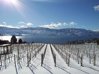 Wine tastings and tours are also winter activities in the Okanagan | iNwine