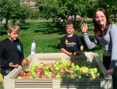 Okanagan College’s Unusually Good Apple Juice flowing into Superstores | iNwine Okanagan College’s Unusually Good Apple Juice flowing into Superstores | iNwine
