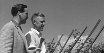 iN VIDEO: Dwarf apple trees in the Okanagan in the spotlight of this 1955 film | iNwine