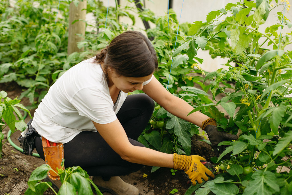 Peak Cellars – Escape to Lake Country | iNwine