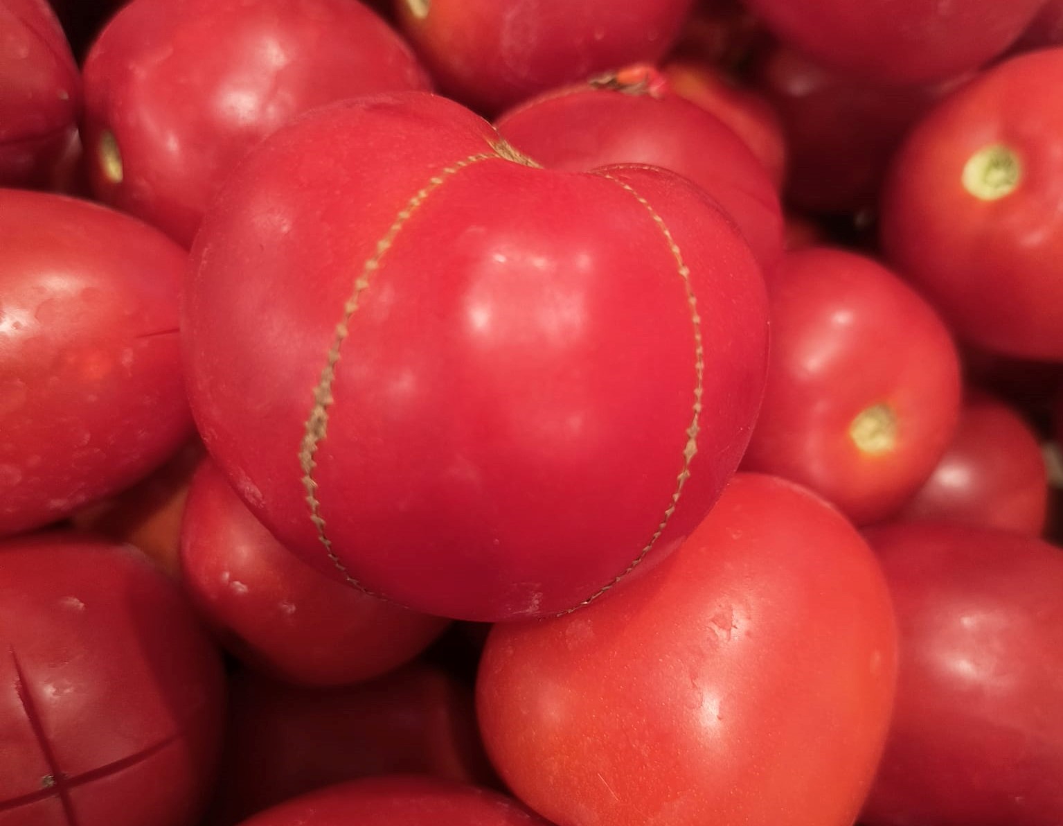 iN PHOTOS: Weird veggies from Kamloops, Okanagan | iNwine iN PHOTOS: Weird veggies from Kamloops, Okanagan | iNwine