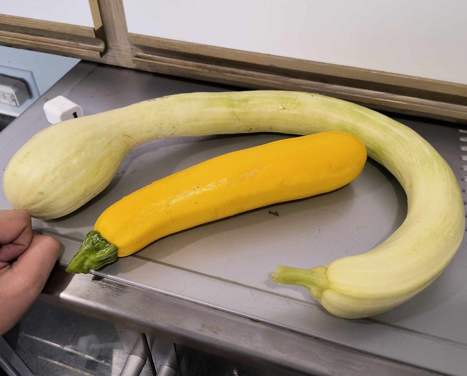 iN PHOTOS: Weird veggies from Kamloops, Okanagan | iNwine iN PHOTOS: Weird veggies from Kamloops, Okanagan | iNwine