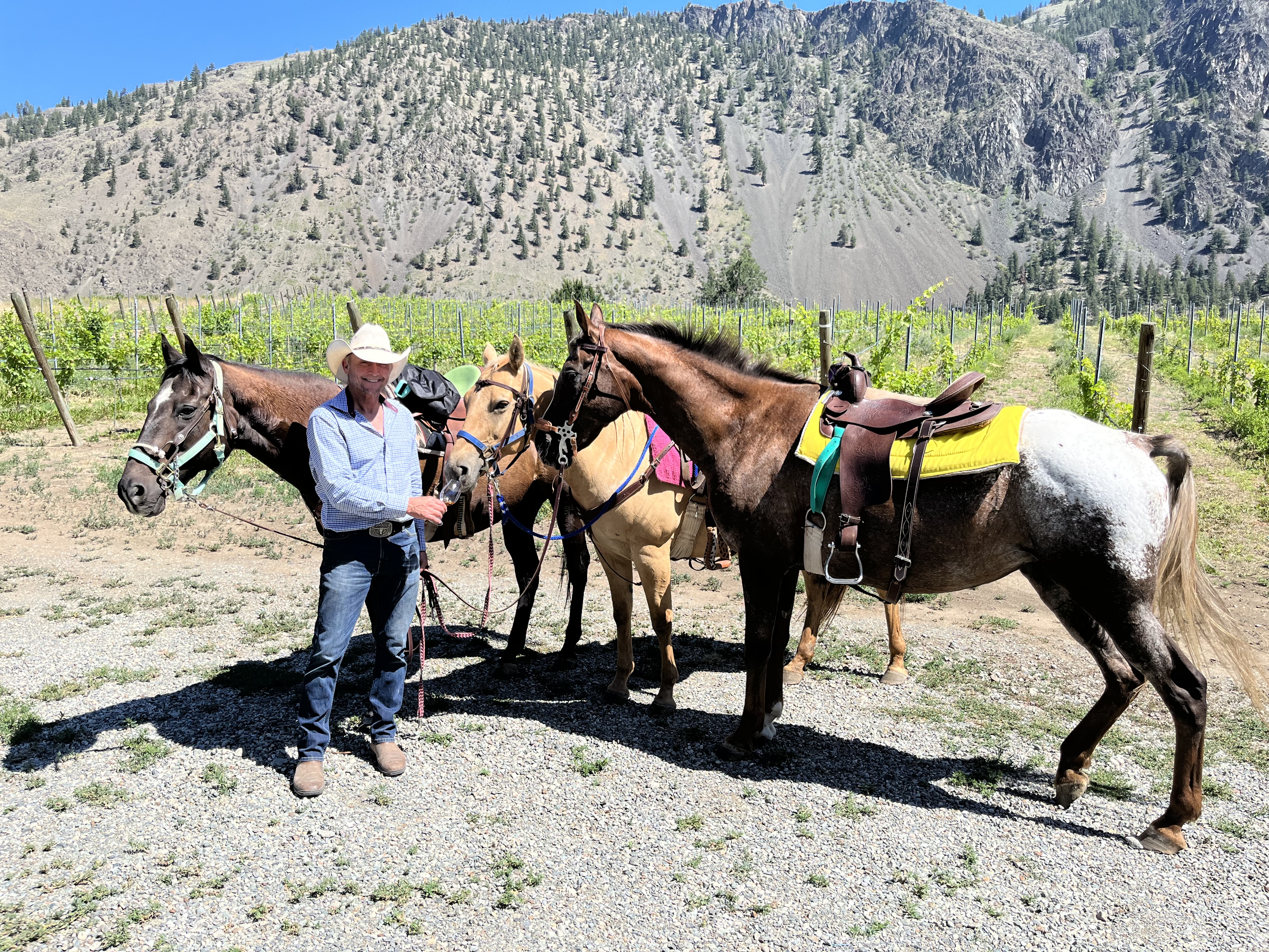 Mounted wine tours are now a thing in Keremeos | iNwine