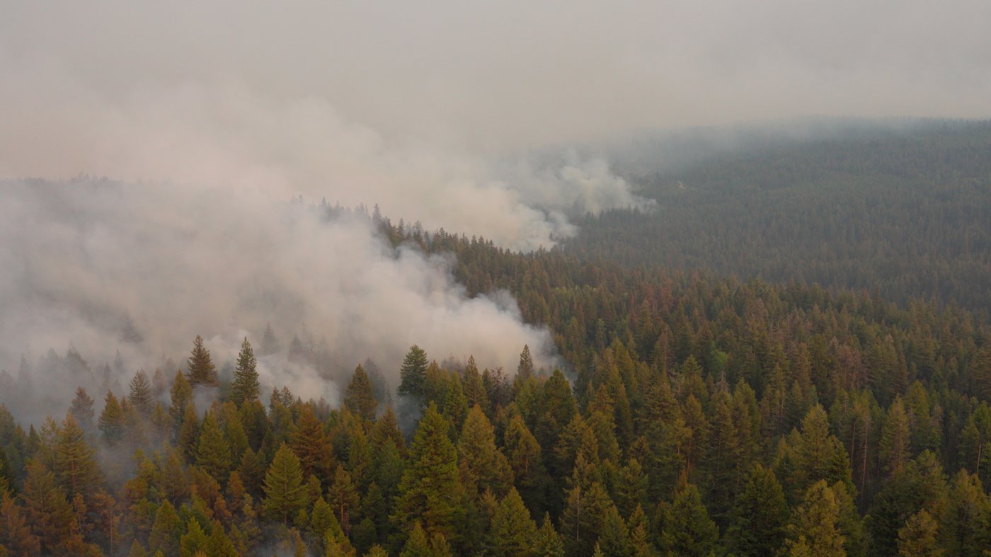 Wildfire forces Okanagan fruit pickers back to Mexico | iNwine Wildfire forces Okanagan fruit pickers back to Mexico | iNwine