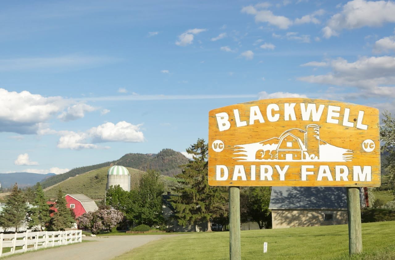 'Devastation': Blackwell dairy farm in Kamloops out of water | iNwine 'Devastation': Blackwell dairy farm in Kamloops out of water | iNwine