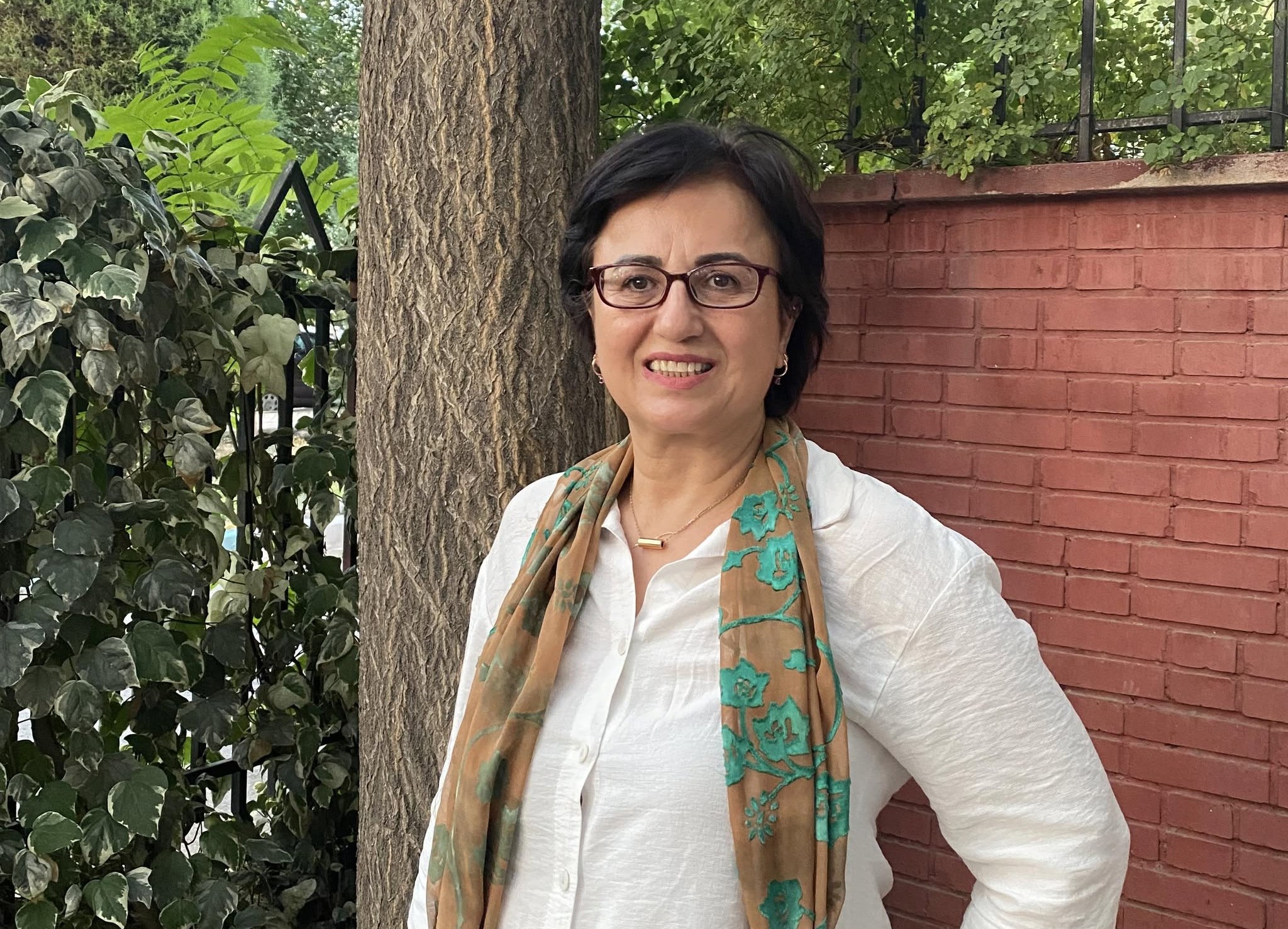 'Warm memories': West Kelowna woman picking grape leaves for Iranian dolmeh | iNwine 'Warm memories': West Kelowna woman picking grape leaves for Iranian dolmeh | iNwine