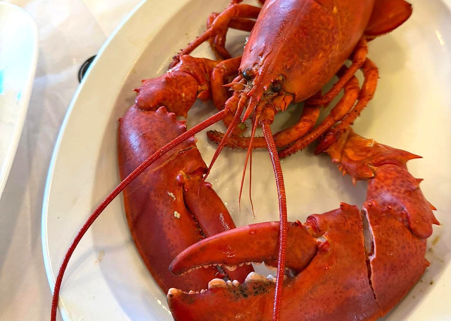How a local entrepreneur satisfies Okanagan hunger for live Atlantic lobster | iNwine