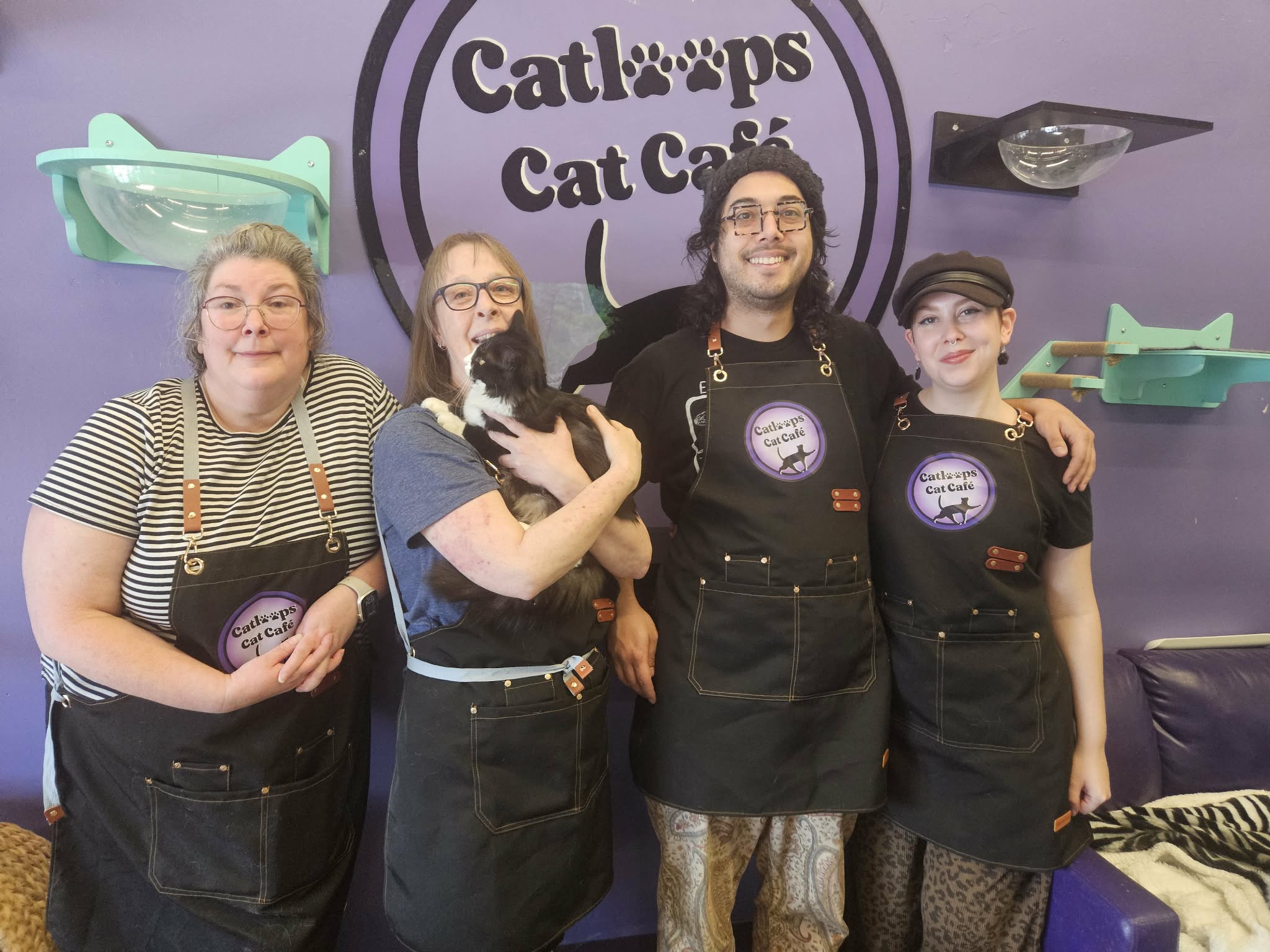 Forgotten felines get second chance at Kamloops' first cat cafe | iNwine Forgotten felines get second chance at Kamloops' first cat cafe | iNwine
