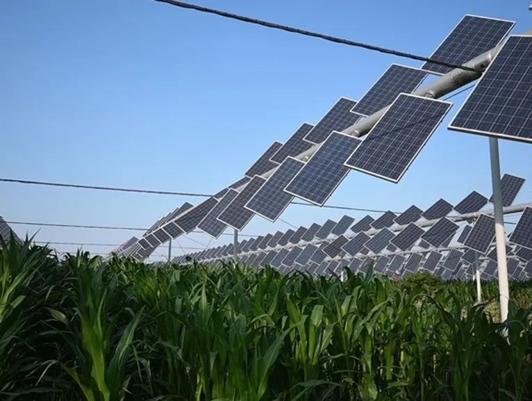 South Okanagan winery owner invests millions in solar vineyard project | iNwine