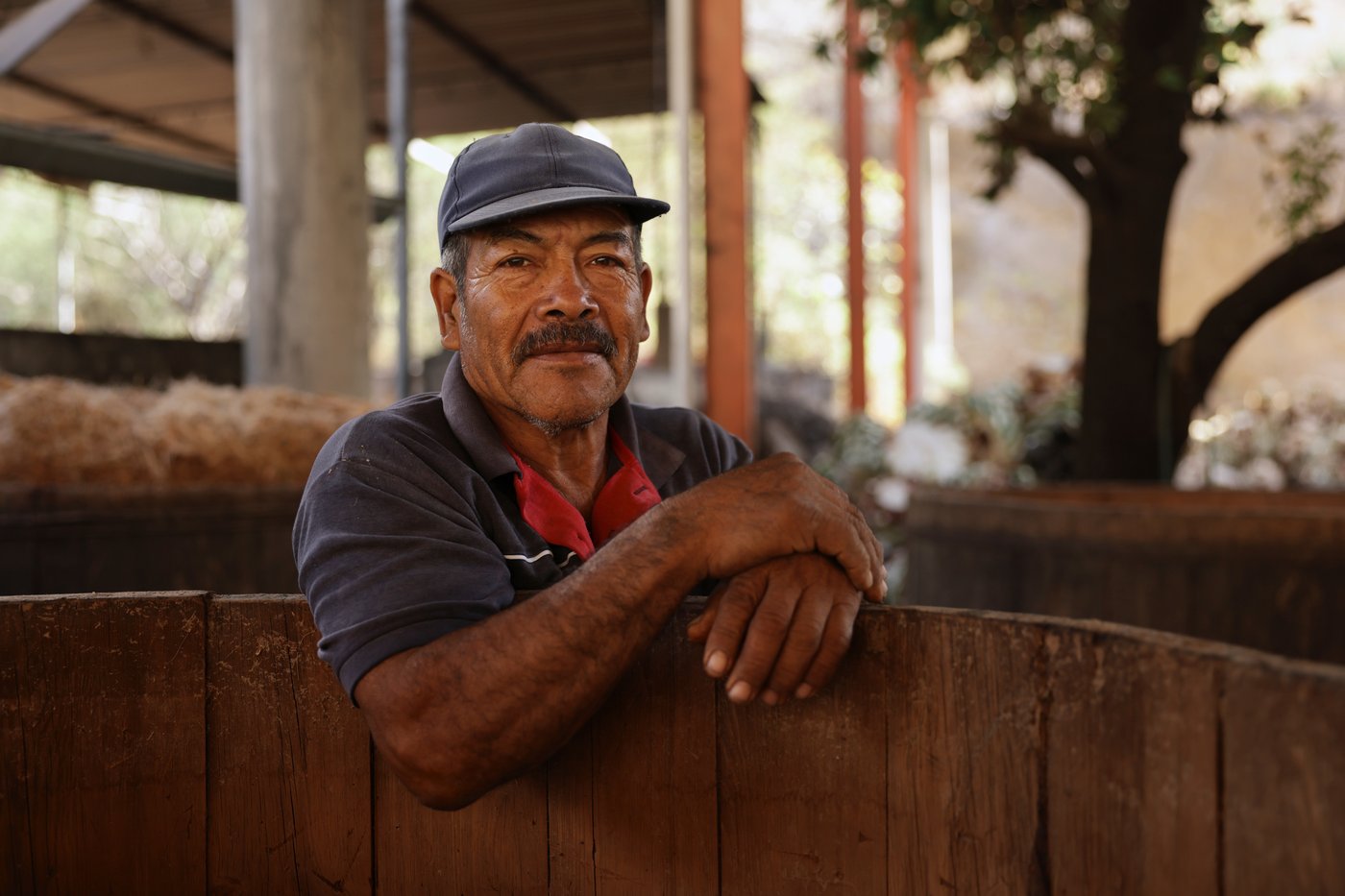 Mezcal producers in Oaxaca pose for photos while reflecting on economic impacts of the drink | iNwine