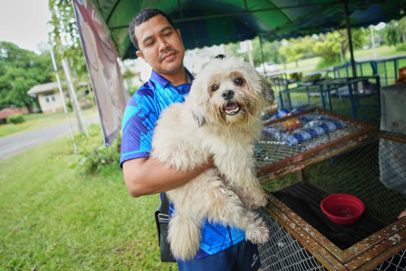 Thailand sets up safe spaces for pets whose owners fled border violence | iNFOnews.ca Thailand sets up safe spaces for pets whose owners fled border violence | iNFOnews.ca