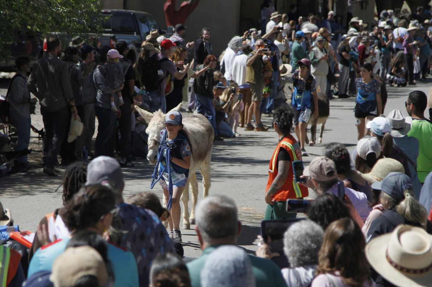 Burro racing wins over runners in backcountry ode to mining history | iNFOnews.ca