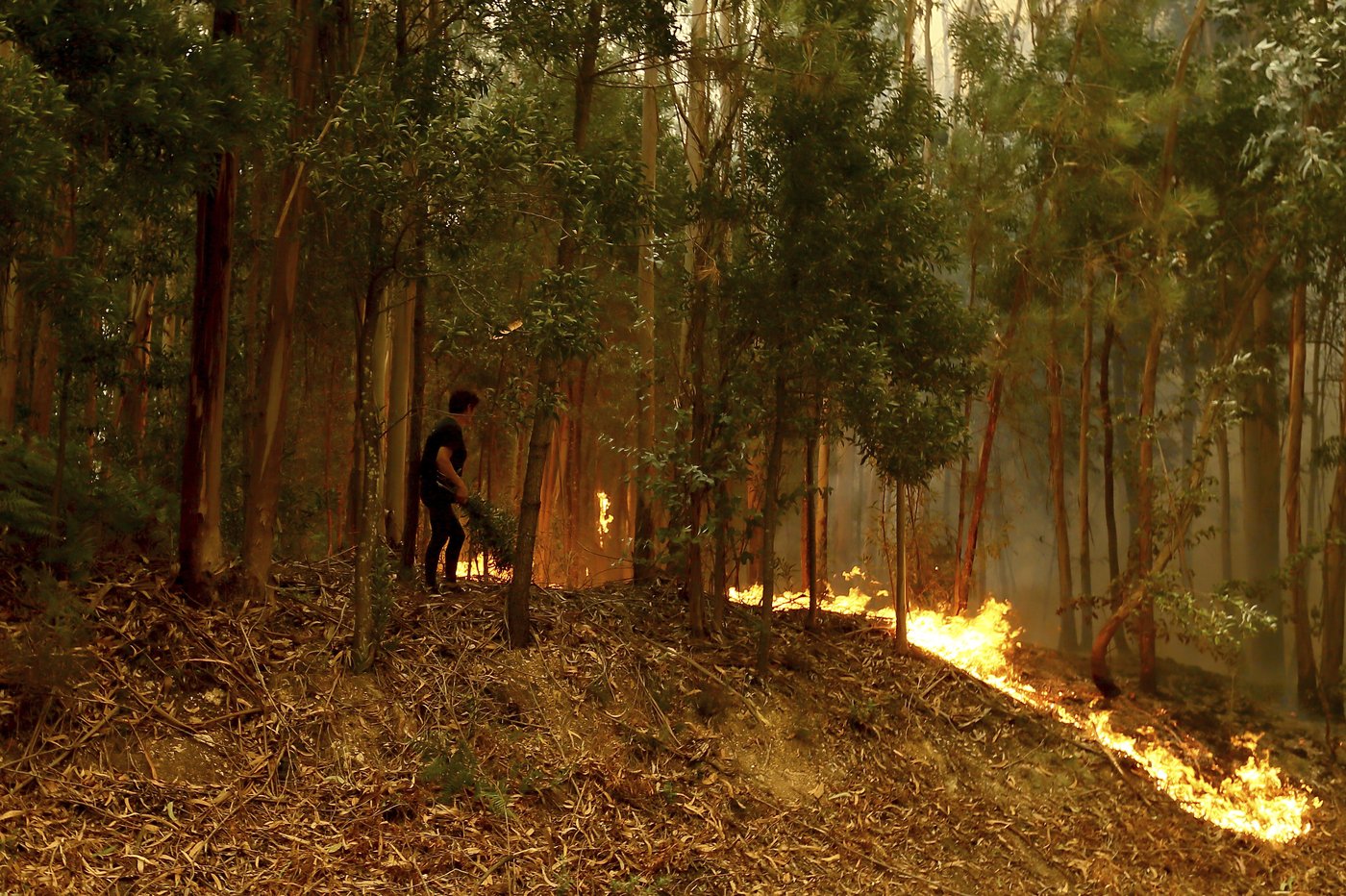 Portugal declares a state of calamity as wildfires rage out of control | iNFOnews.ca Portugal declares a state of calamity as wildfires rage out of control | iNFOnews.ca