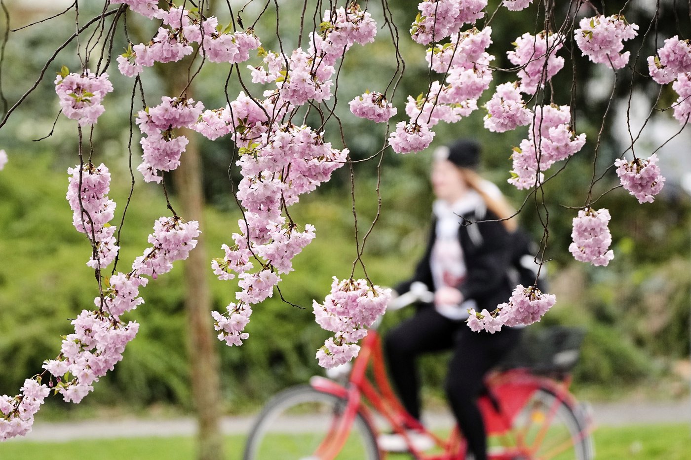 PHOTO COLLECTION: Spring | iNFOnews.ca