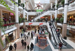 CP19507439