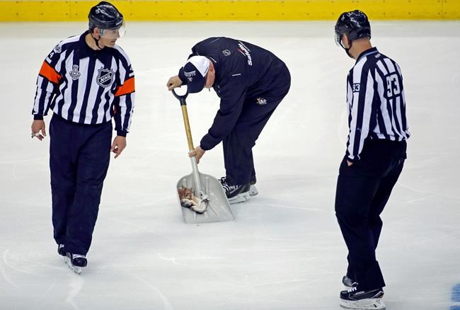 Prosecutors to drop charges in Stanley Cup dead catfish toss | iNFOnews.ca Prosecutors to drop charges in Stanley Cup dead catfish toss | iNFOnews.ca