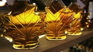 Police escort convoy in eastern Canada. Plutonium? Gold? No, your breakfast topping | iNFOnews.ca CP20325253