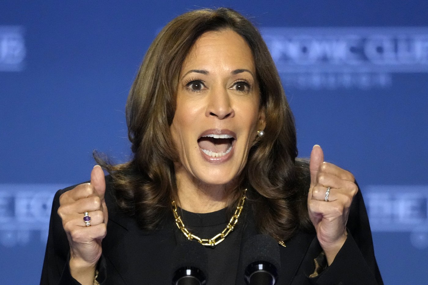 Harris heads to the US-Mexico border to face down criticism of her record | iNFOnews.ca Harris heads to the US-Mexico border to face down criticism of her record | iNFOnews.ca