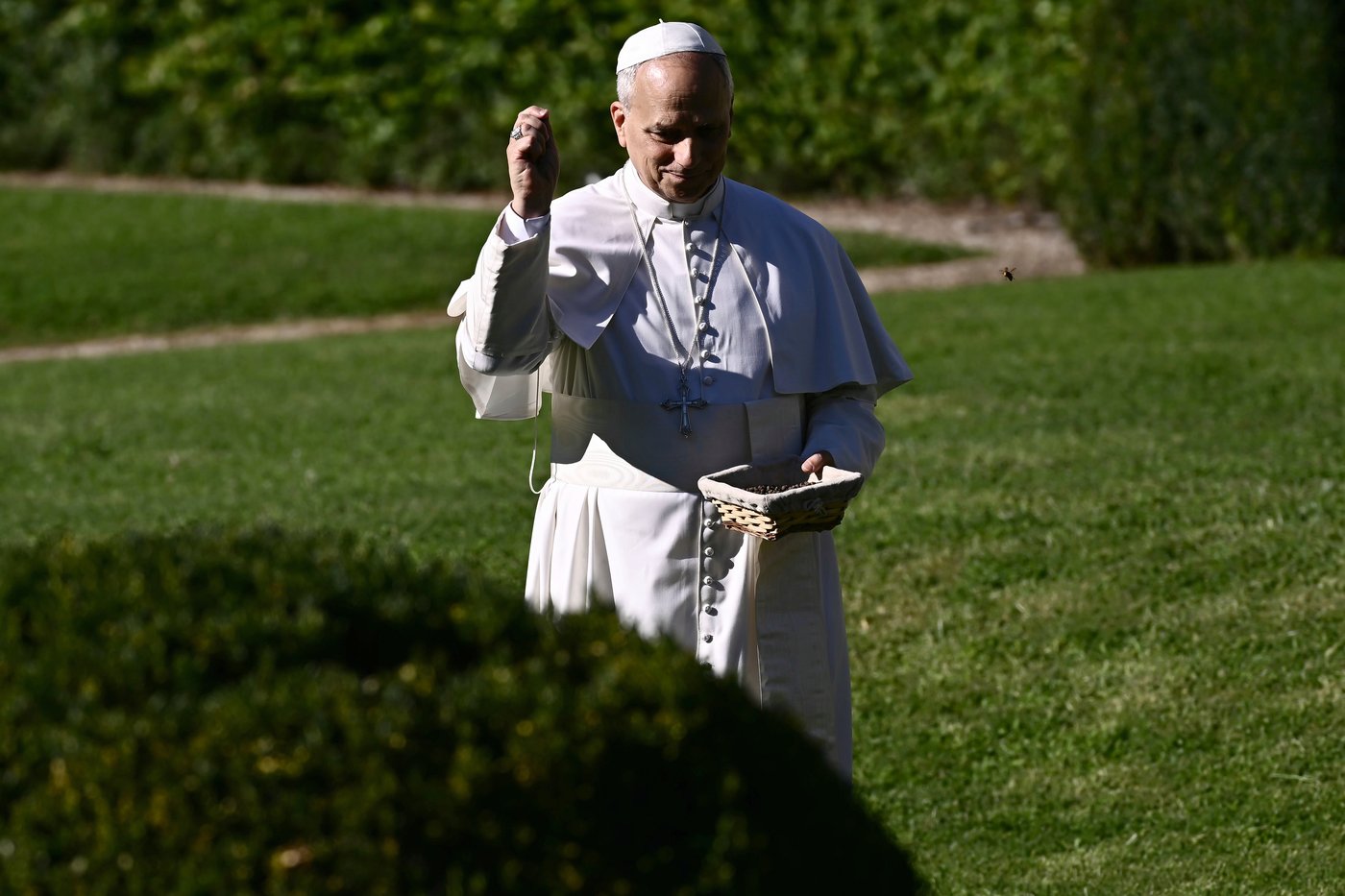 Pope feeds fish as he opens Vatican's ambitious model of sustainable farming and education | iNFOnews.ca