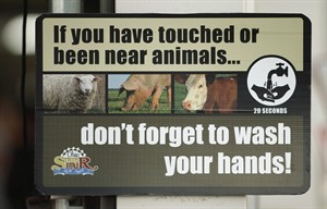 Close the pig barns at fairs, expert says as more states report swine flu cases | iNFOnews.ca CP19847782