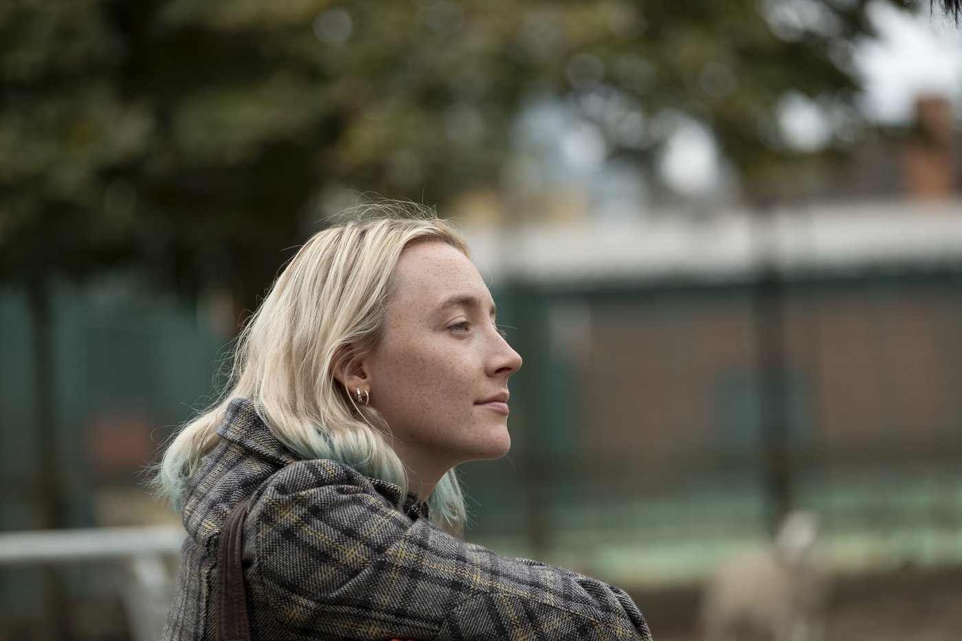 Saoirse Ronan felt happy and settled. That's why she could play an alcoholic in 'The Outrun' | iNFOnews.ca
