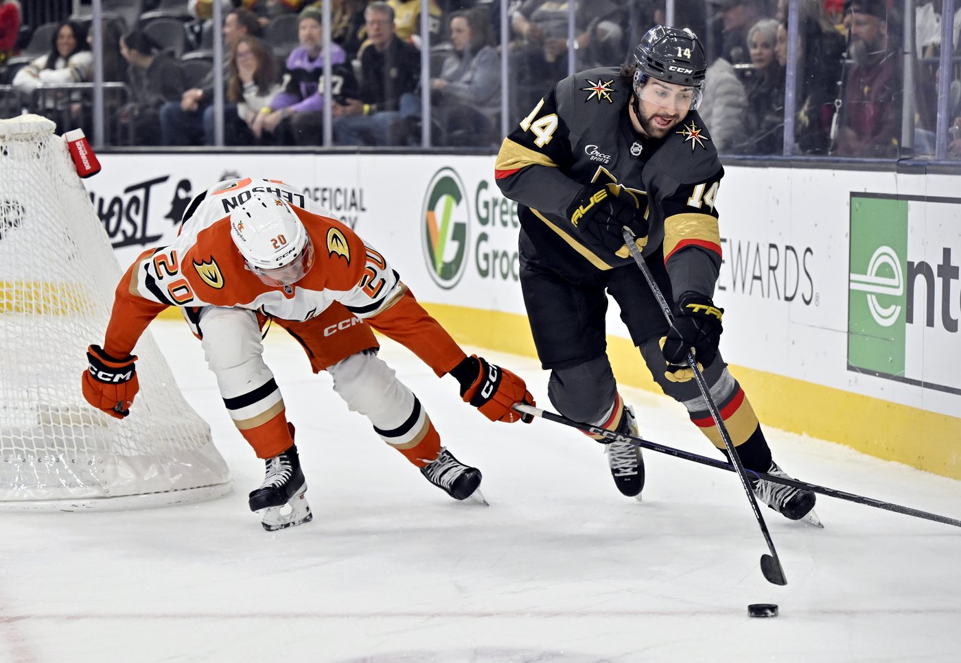 Hertl scores decisive goal as Golden Knights beat Ducks 3-1 | iNFOnews.ca Hertl scores decisive goal as Golden Knights beat Ducks 3-1 | iNFOnews.ca