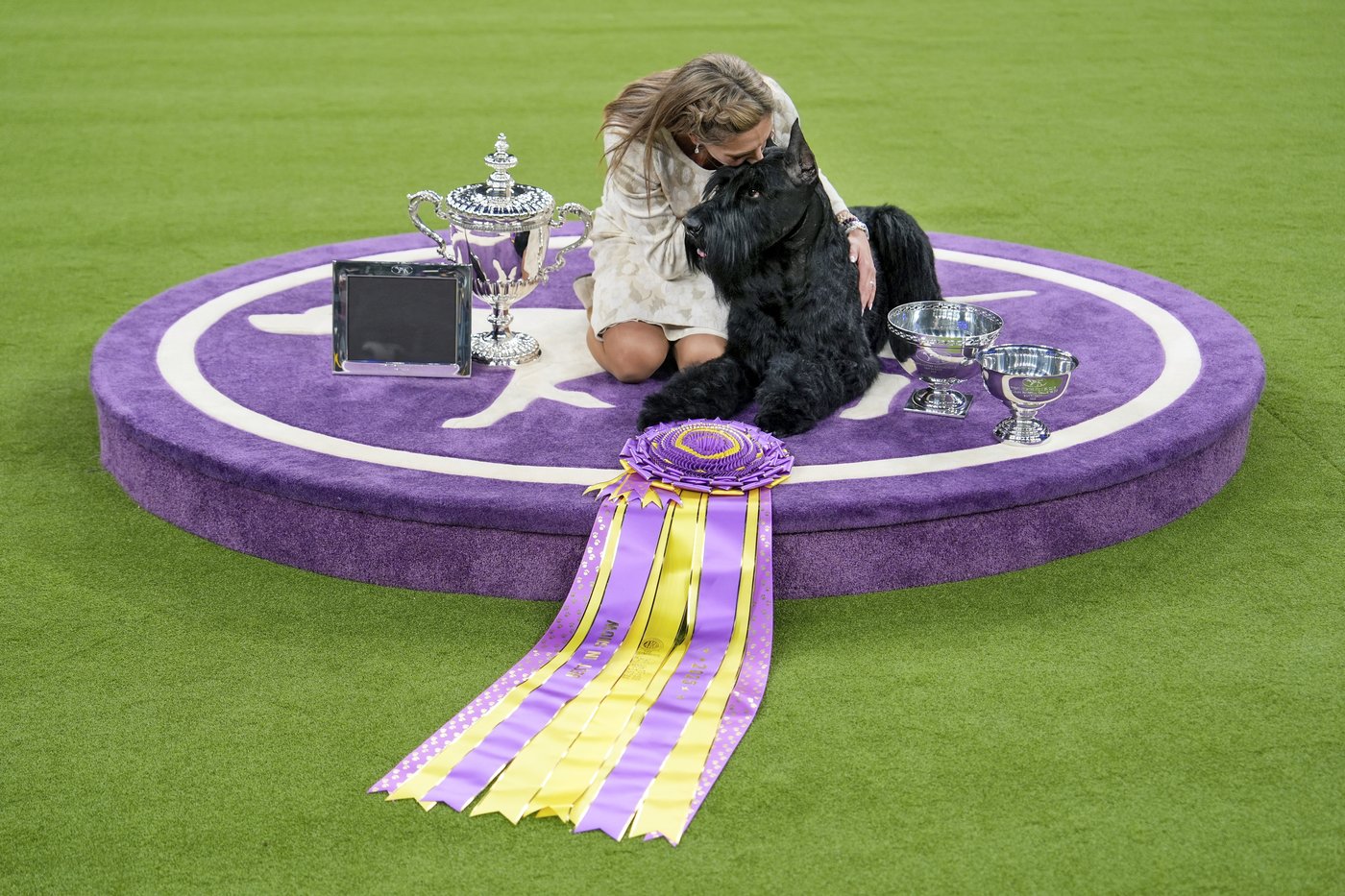 PHOTO COLLECTION: Westminster Dog Show | iNFOnews.ca PHOTO COLLECTION: Westminster Dog Show | iNFOnews.ca