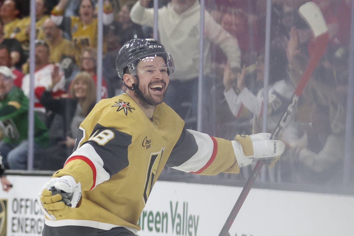 Tomas Hertl returns for Golden Knights in game against the Kraken | iNFOnews.ca