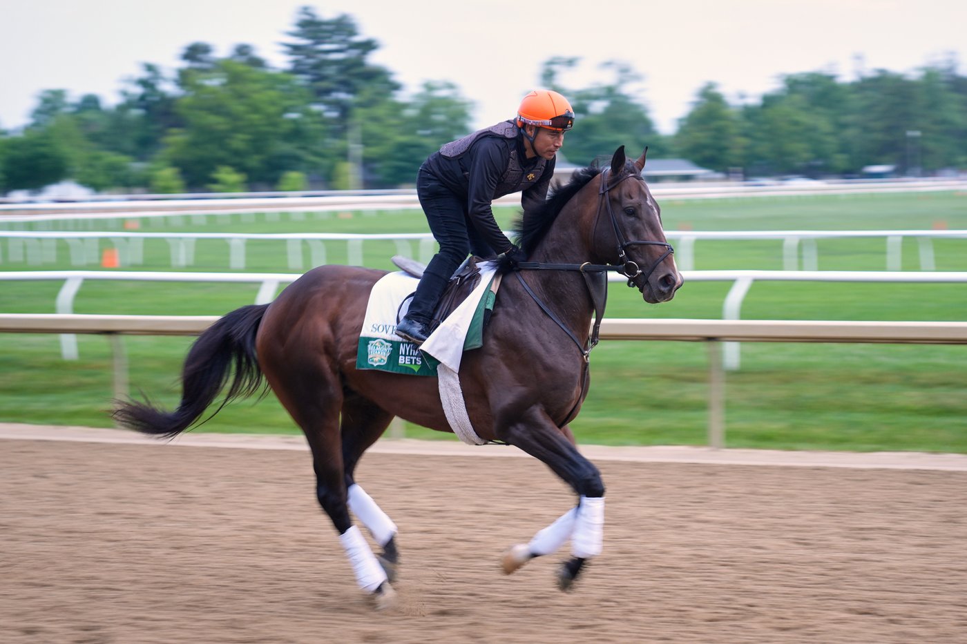Sovereignty vs. Journalism in the Belmont gives horse racing a Kentucky Derby rematch | iNFOnews.ca Sovereignty vs. Journalism in the Belmont gives horse racing a Kentucky Derby rematch | iNFOnews.ca