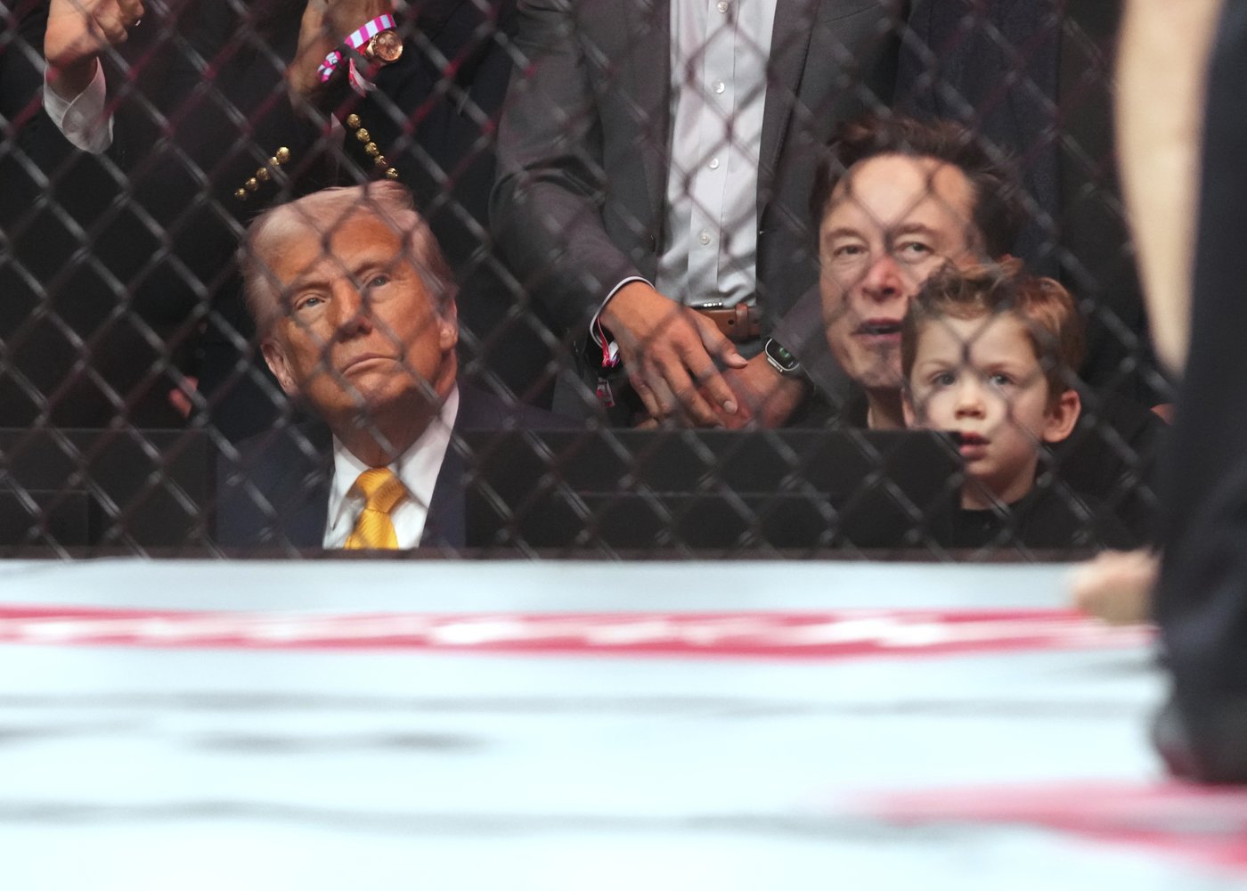 Trump sits cageside at Miami UFC event in his latest appearance at a sports event | iNFOnews.ca