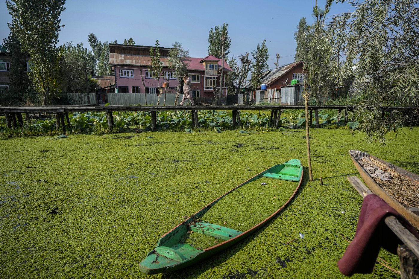 India-controlled Kashmir votes in the second phase of polls to elect local government | iNFOnews.ca India-controlled Kashmir votes in the second phase of polls to elect local government | iNFOnews.ca