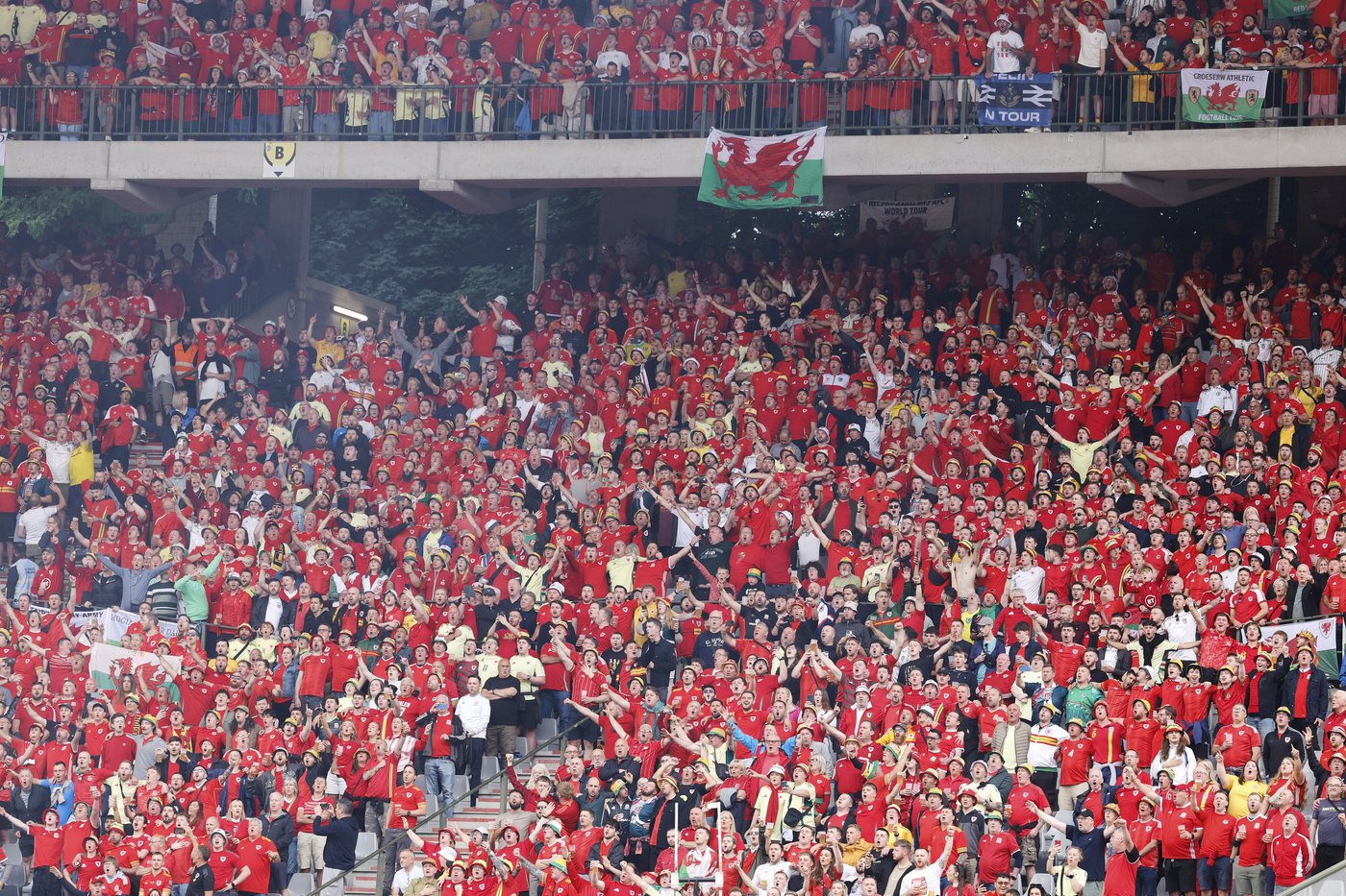 Fan taken to hospital after falling from stand during Belgium-Wales soccer match | iNFOnews.ca