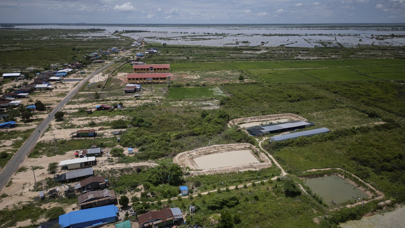 Cambodian fishermen turn to raising eels as Tonle Sap lake runs out of fish | iNFOnews.ca