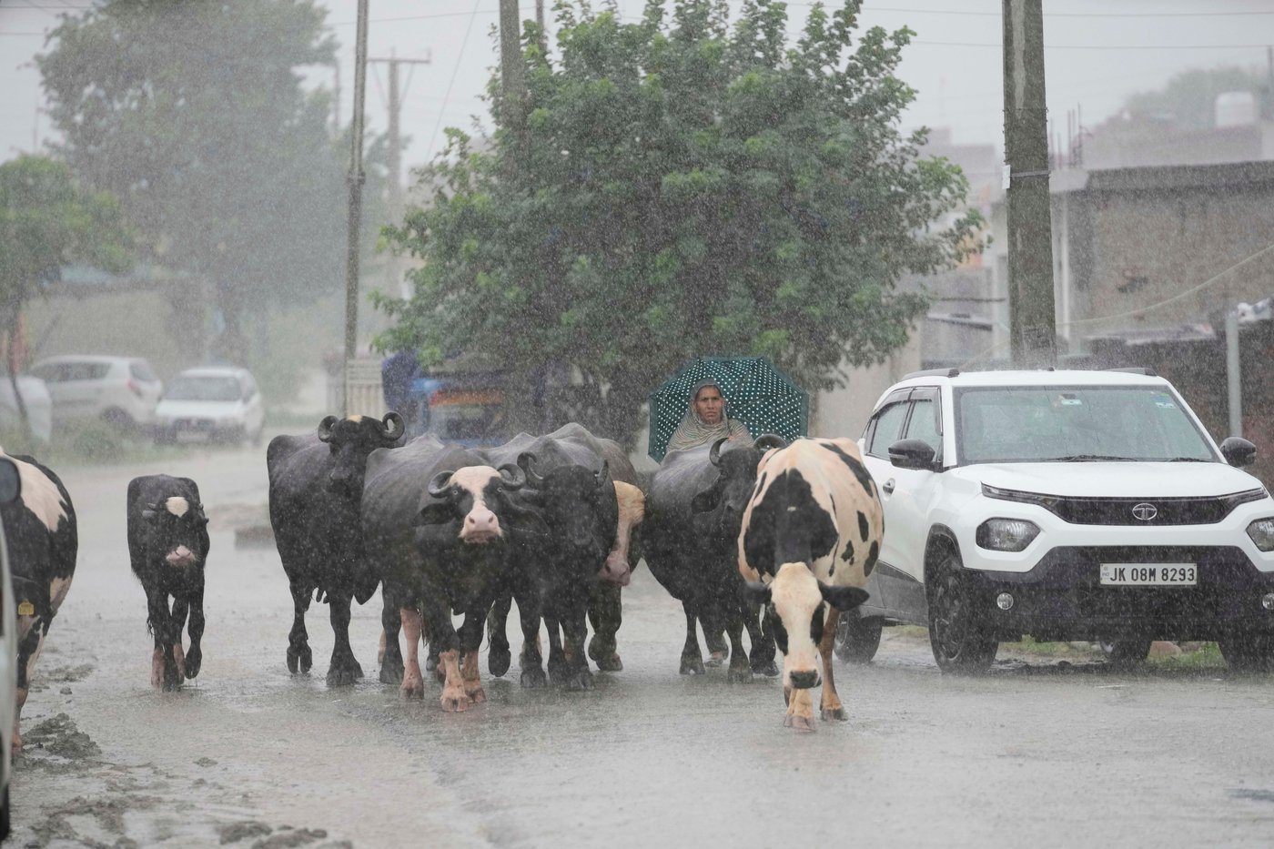 Photos show the effects of flooding in Kashmir after weeks of intense rain in the region | iNFOnews.ca