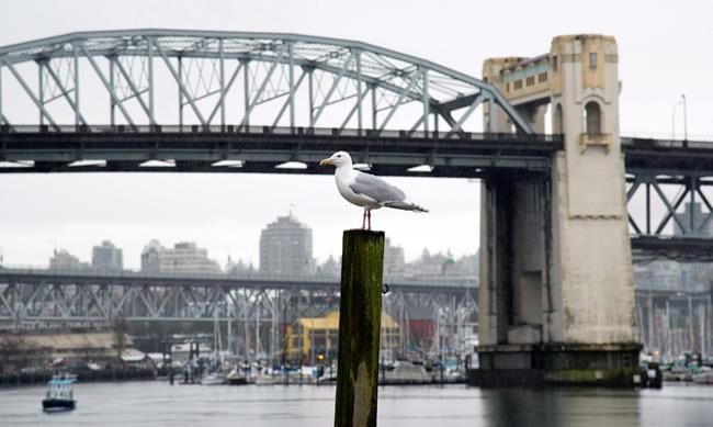 Major bridges may targeted as environmental group plans protest Monday | iNFOnews.ca Major bridges may targeted as environmental group plans protest Monday | iNFOnews.ca