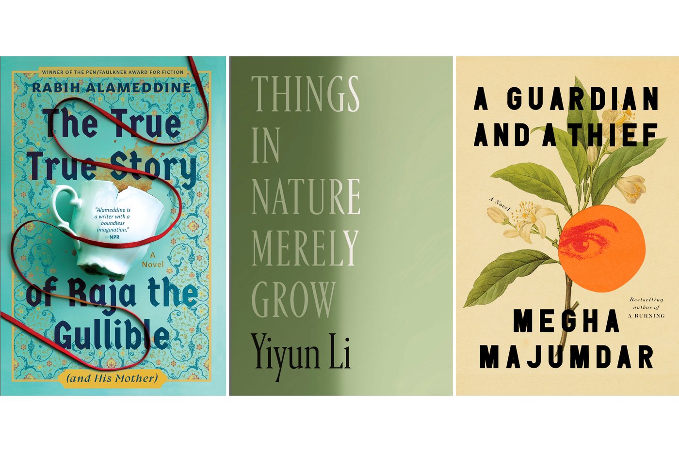 National Book Award finalists announced: Alameddine, Majumdar, Li and Russell are among the nominees | iNFOnews.ca
