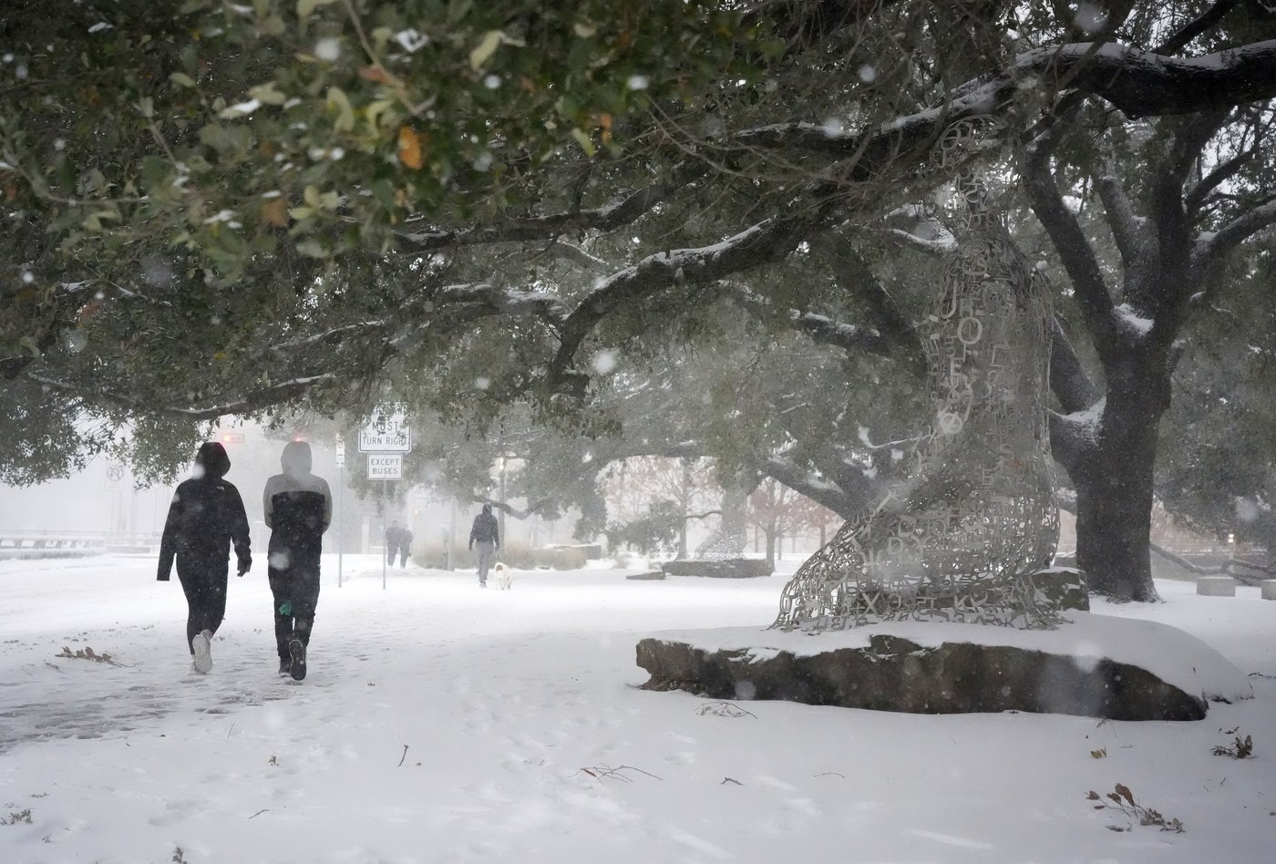 Extreme cold and snow across the South isn't a threat to most native plants and animals, experts say | iNFOnews.ca Extreme cold and snow across the South isn't a threat to most native plants and animals, experts say | iNFOnews.ca