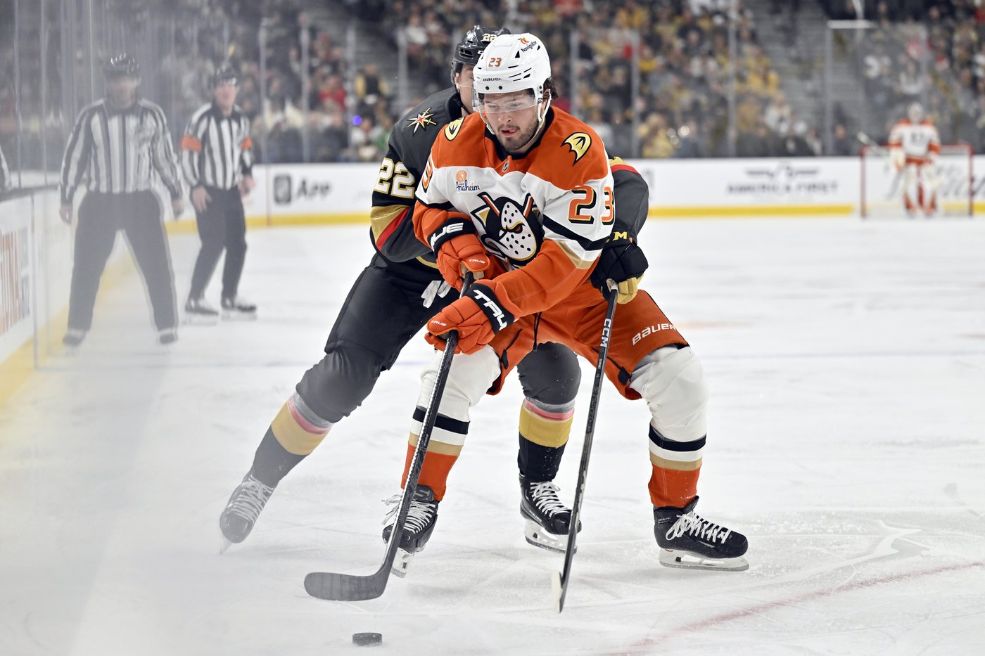 Hertl scores decisive goal as Golden Knights beat Ducks 3-1 | iNFOnews.ca Hertl scores decisive goal as Golden Knights beat Ducks 3-1 | iNFOnews.ca