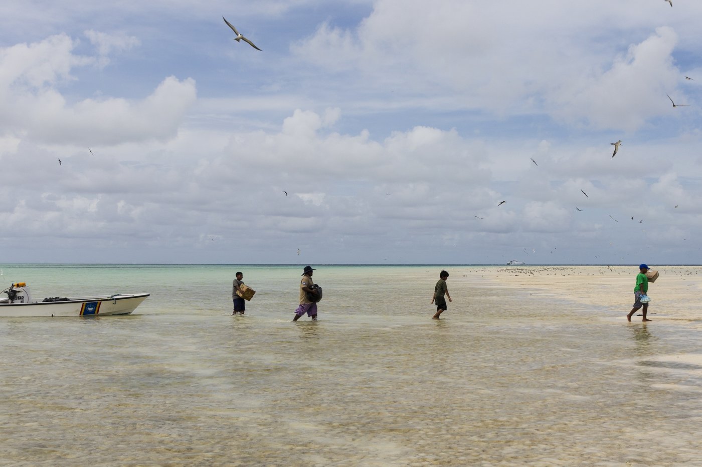 Palau’s vibrant Helen Reef is a magnet for poachers. These rangers keep it safe | iNFOnews.ca
