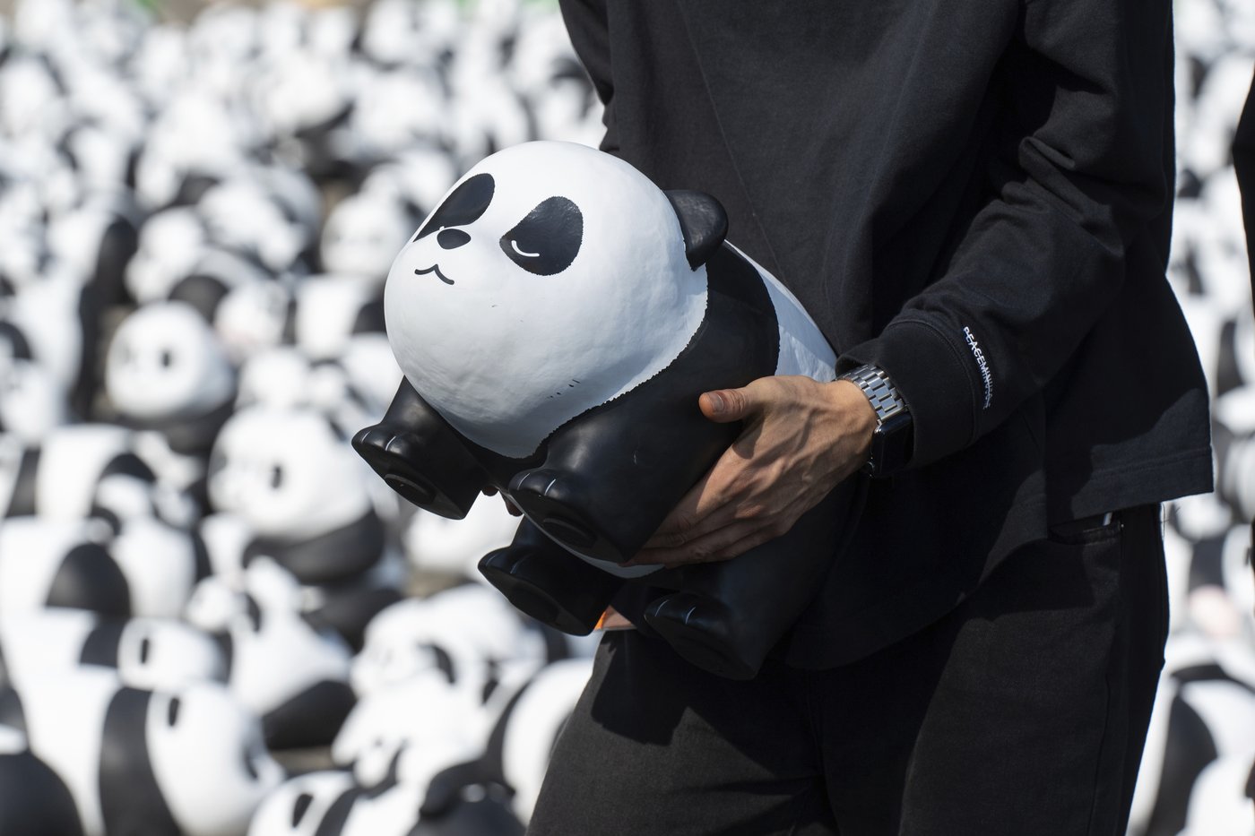 Hong Kong launches panda sculpture tour as the city hopes the bear craze boosts tourism | iNFOnews.ca