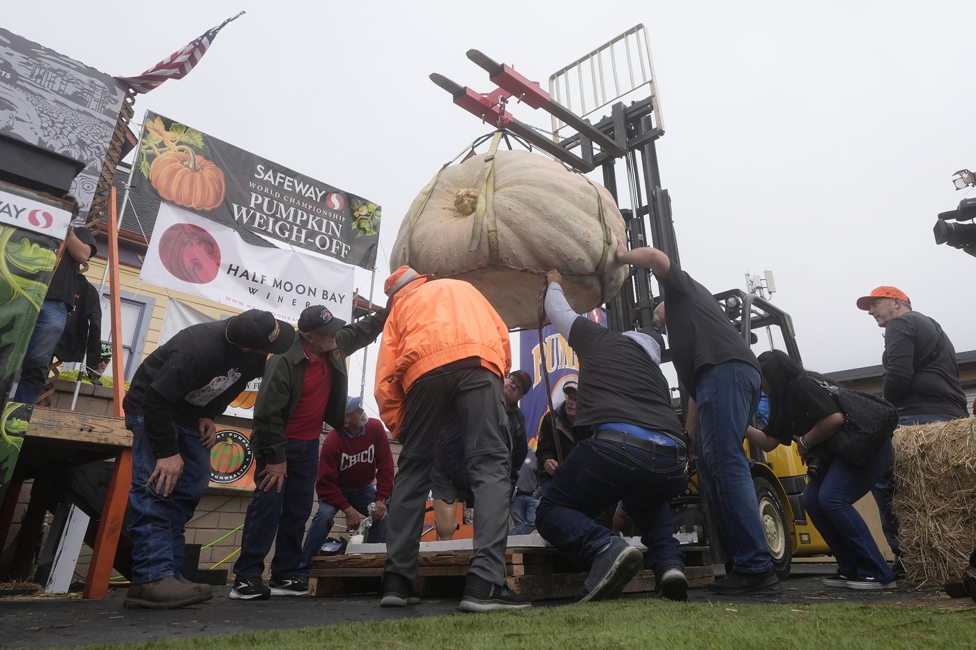 Pumpkin weighing 2,471 pounds wins California contest | iNFOnews.ca Pumpkin weighing 2,471 pounds wins California contest | iNFOnews.ca